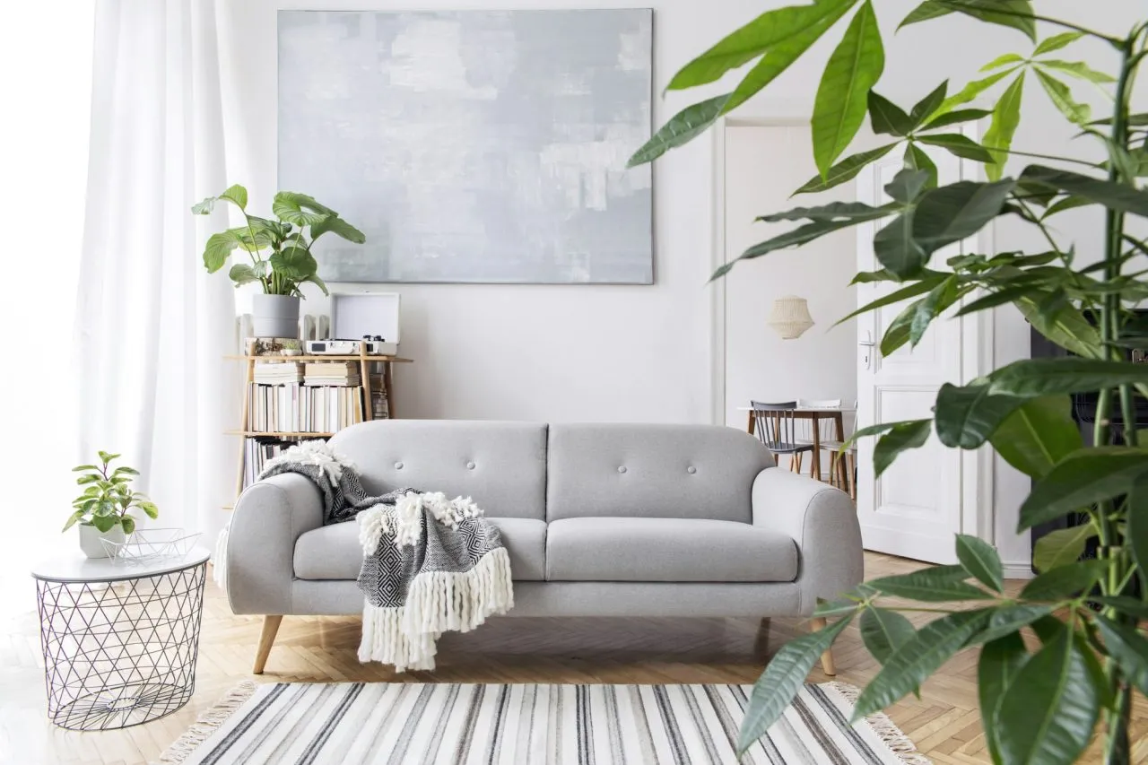 Bright living room in a home prepared for sale